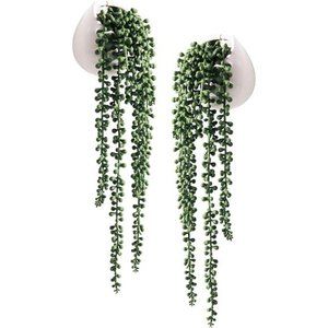 2 Artificial Succulents Hanging Plants Fake String of Pearls in White Ceramic